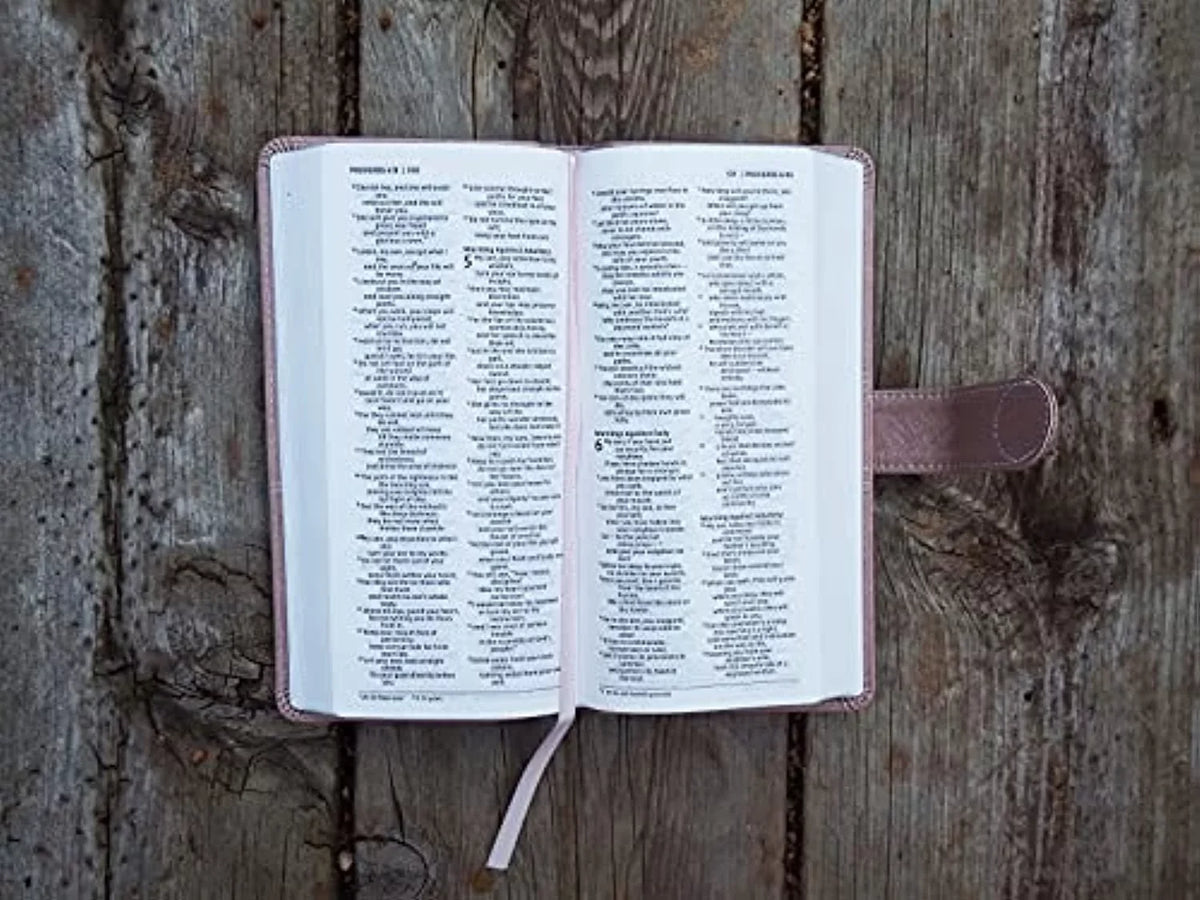 Letter, Red Closure, Snap Leathersoft, Pocket Pink, Comfort Print Thinline Niv, Bible, (Other)