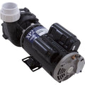 2", XP2, Pump, OEM 2.5ohp/4.0thp, 2-Speed, 230v, Flo 48fr, Aqua