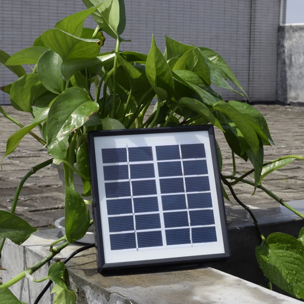 Airpump Pond Aerator Round Pump Aerator Dadypet Washboa Tank Solar IUPPA Mini Fish 1.5W Tank Pond Pump Air Solar Fish boa Aerator Aerator Pump Bubble Pipe Pond Stone Fountain,Air Air Air Aerator