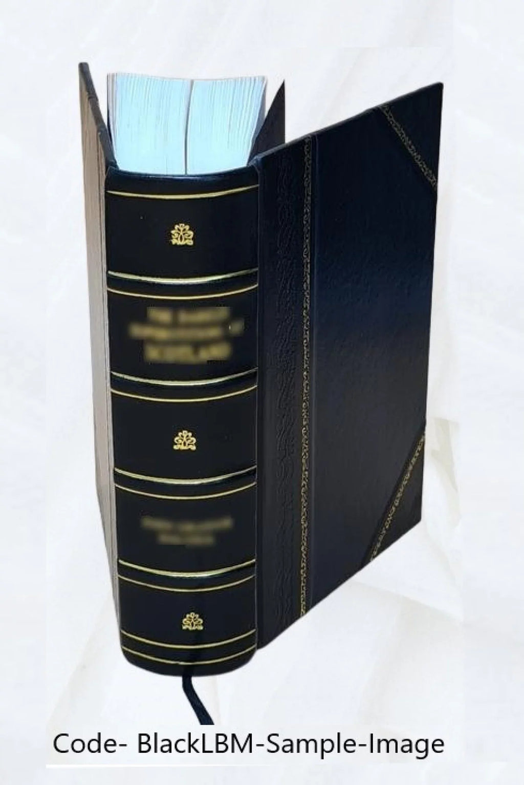 Crispi C. I.L. Opera Burnouf 1827 [Leather Sallustii Bound] indicibus exstant omnia quae curante cum