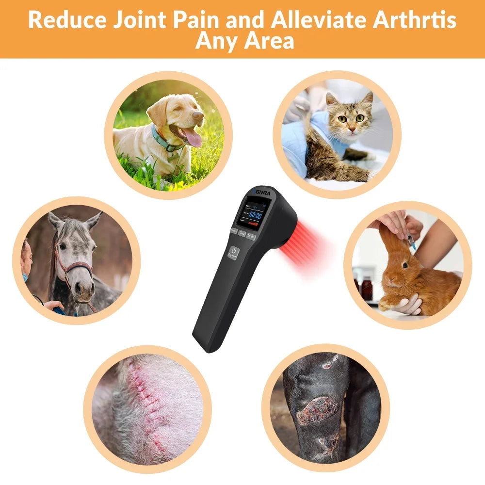Dog 650nm Cat Horse Therapy Laser Laser Relief,Handheld Therapy 808nm,Cold Pain Device,for Low Level