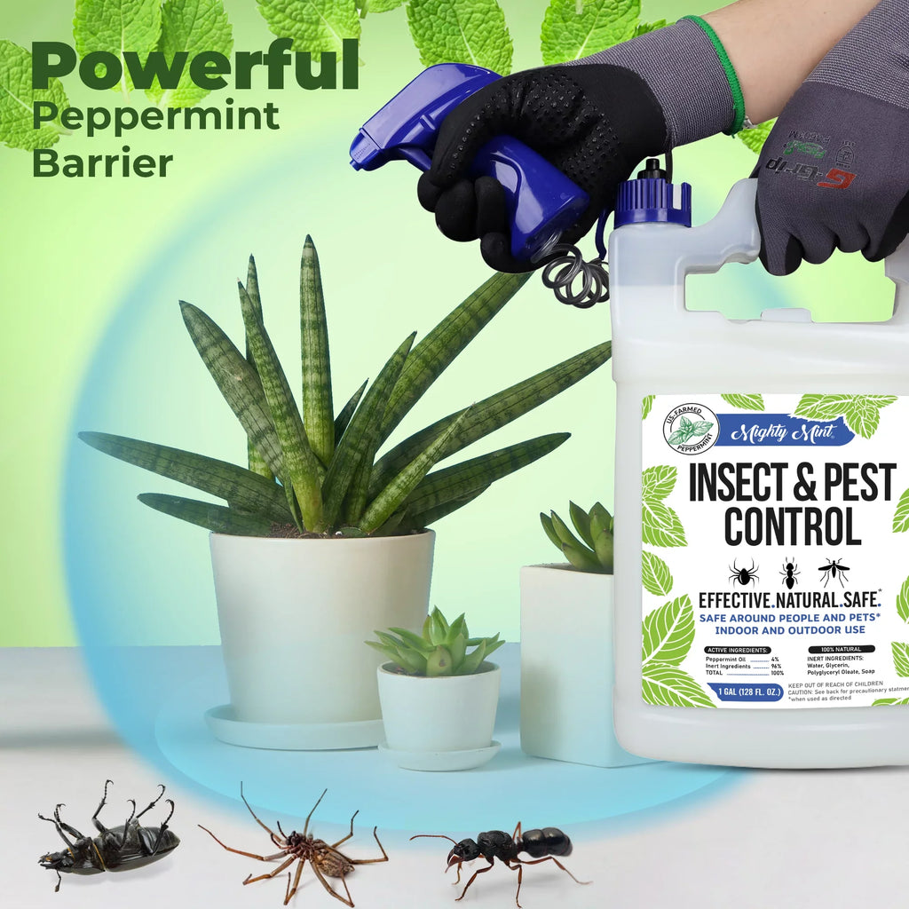 Spiders, Peppermint Mighty Mint Control Spray Ants, (128 & for More Oil Insect and Gallon oz) Pest