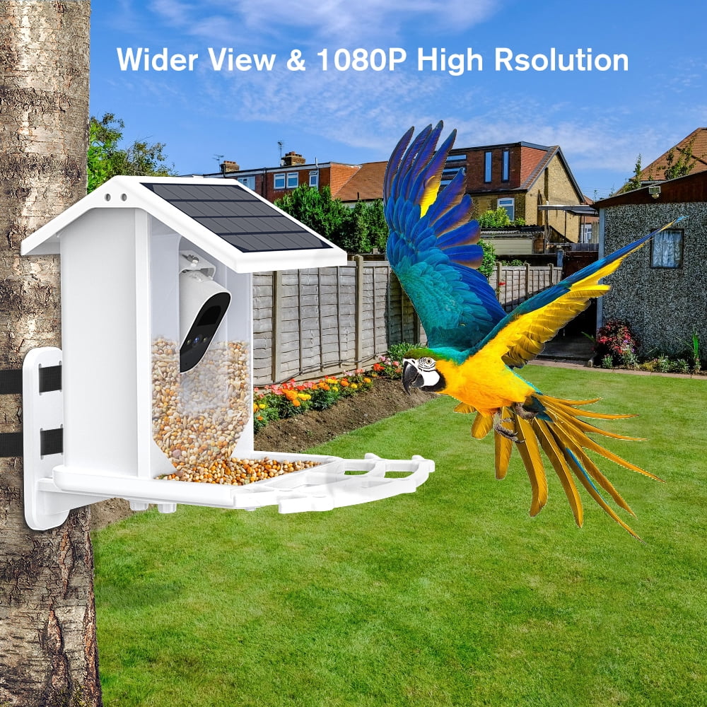 Bird & House, 1080P Species, AI Wi-Fi Auto Bird Solar Bird Feeder ZUPOX APP with White Capture Panel, Camera, Camera Videos Bird HD Smart Identify 2.4G Control