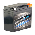 Ytx20hl-bs (20hl-bs Battery Ah, Jt750 1998 Volts,18 Battery Sts, Cca) Kawasaki 310 Pro 12 for Replacement Stx Chrome