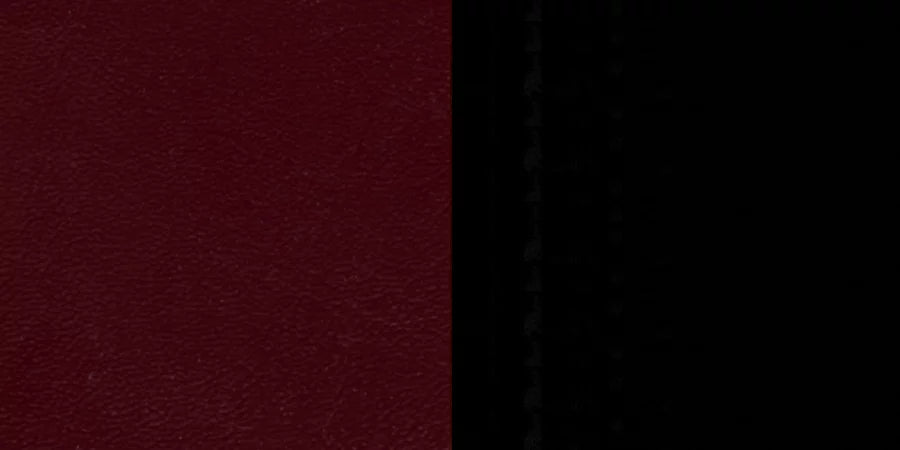 Furniture Metal Series Seat - HERCULES Flash Vinyl Back Chair Burgundy Fan