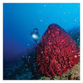 SL3 (L2) Kinetics Dive eLED Underwater Light