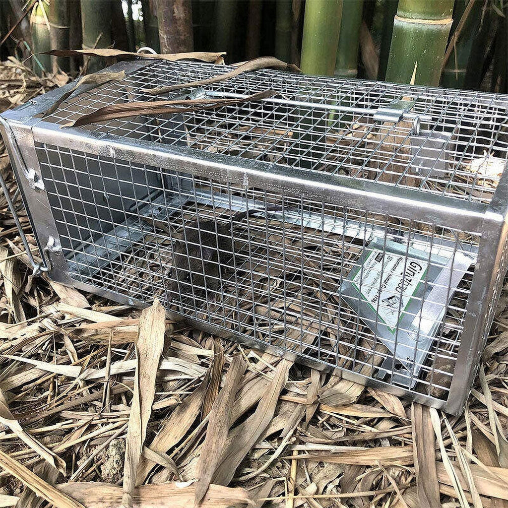 Bait Catch Mice Trap Control Humane Rodent Live Animal Mouse Angfeng Rat Pest Cage