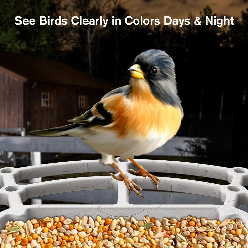 Bird & House, 1080P Species, AI Wi-Fi Auto Bird Solar Bird Feeder ZUPOX APP with White Capture Panel, Camera, Camera Videos Bird HD Smart Identify 2.4G Control