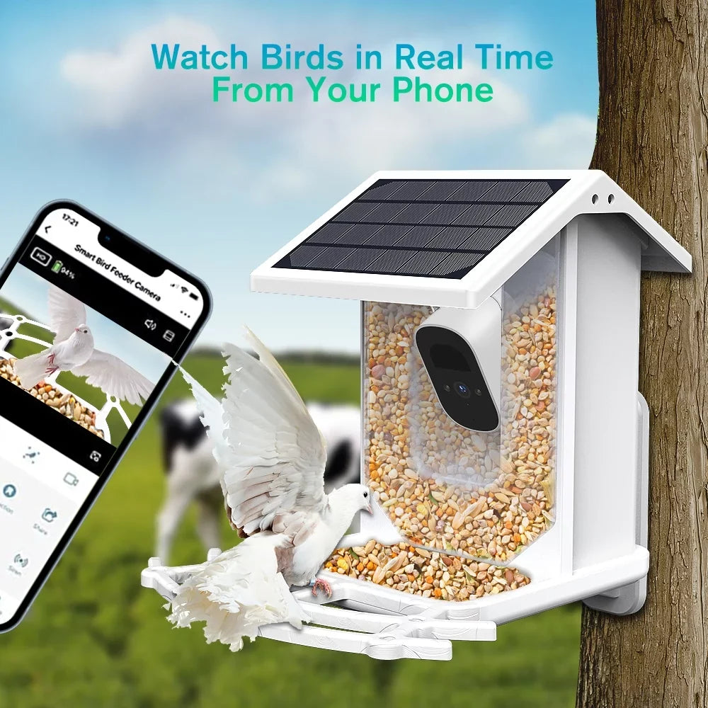 Bird & House, 1080P Species, AI Wi-Fi Auto Bird Solar Bird Feeder ZUPOX APP with White Capture Panel, Camera, Camera Videos Bird HD Smart Identify 2.4G Control