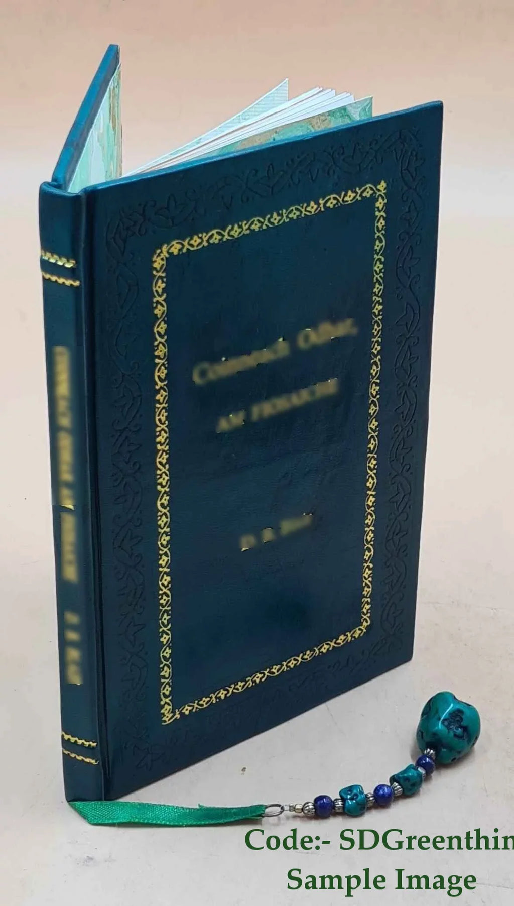 [Premium Student 6-8 Bound] Russian FAST Course lesson - Leather Text FSI
