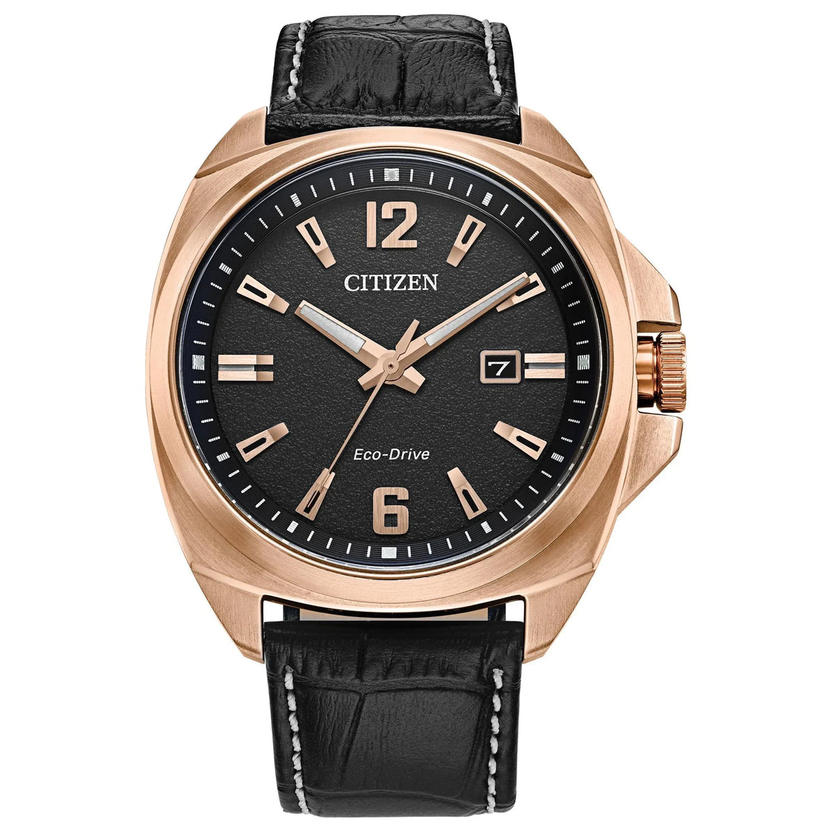 '- AW1723-02E Men's Strap Leather Black Watch Eco-Drive Endicott Citizen