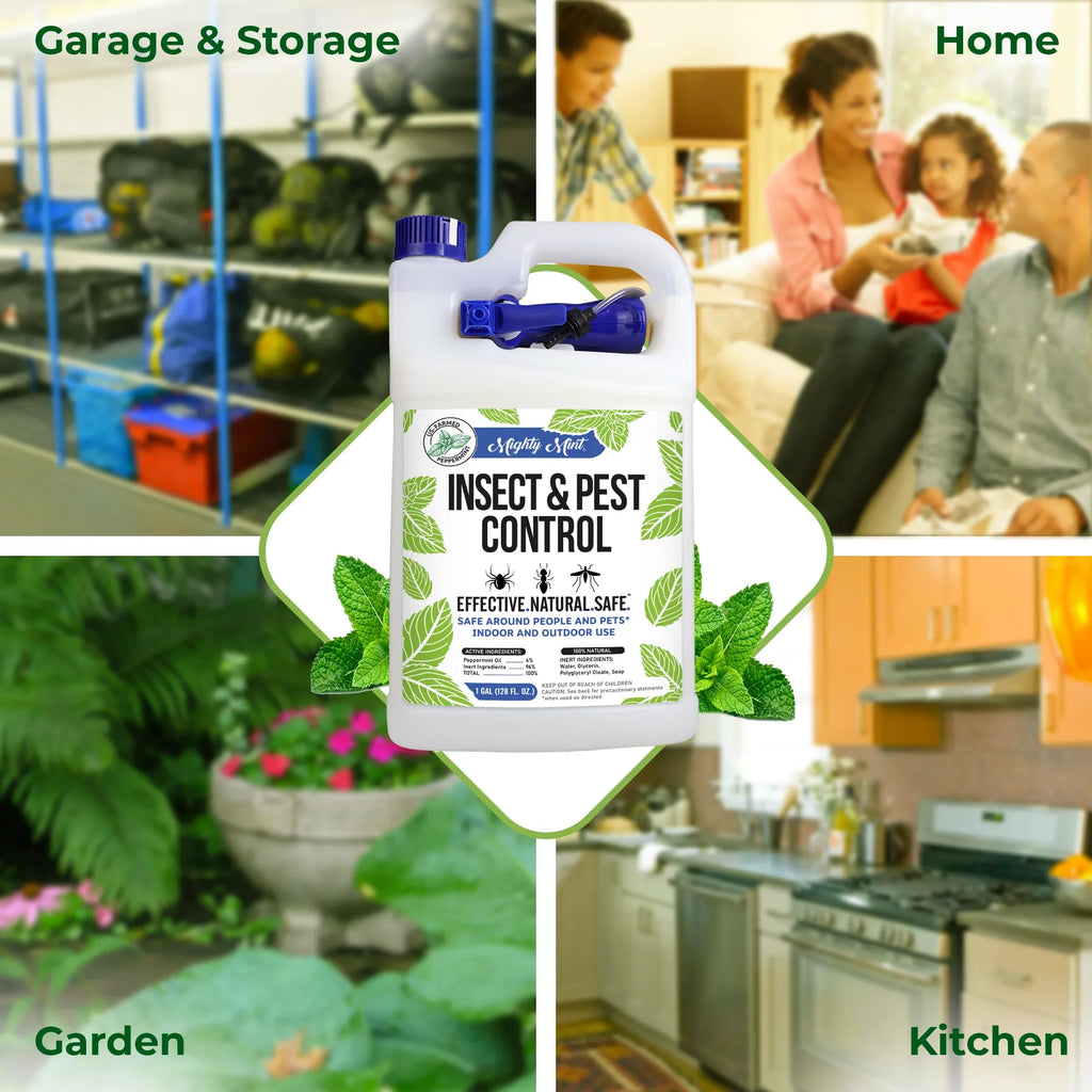 Spiders, Peppermint Mighty Mint Control Spray Ants, (128 & for More Oil Insect and Gallon oz) Pest