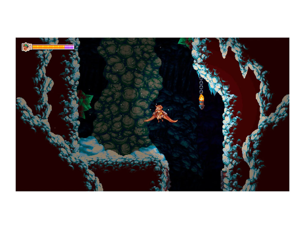 Nintendo Owlboy, Switch, 852103006065 Soedesco,