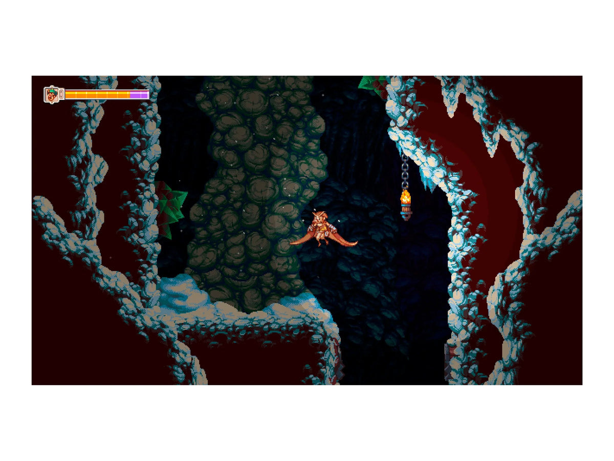 Nintendo Owlboy, Switch, 852103006065 Soedesco,