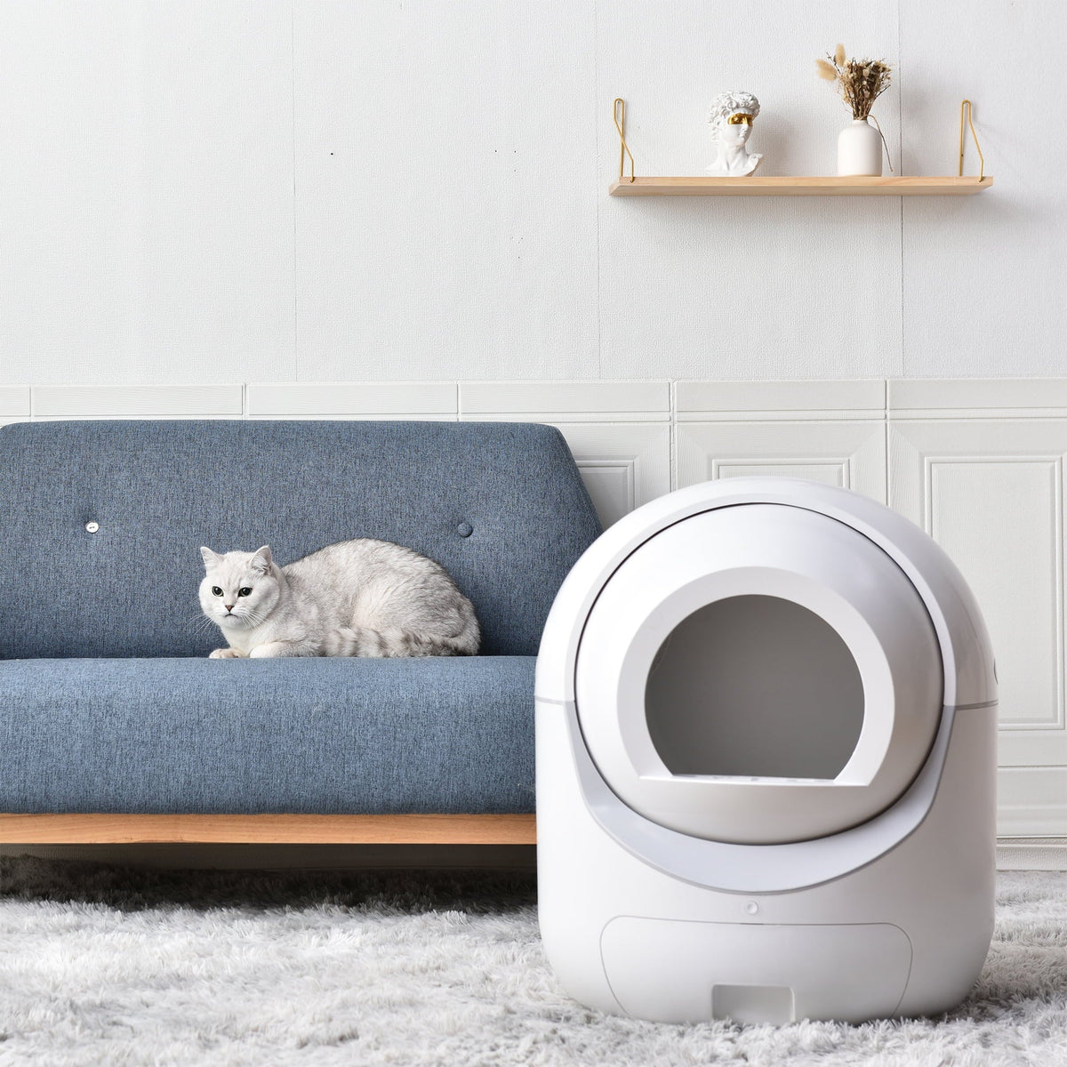 Control, Box, 2.4G Self & for Litter Box, Robot Smart App Litter Support Cat Litter Cleaning Automatic Multiple 5G Cats WiFi
