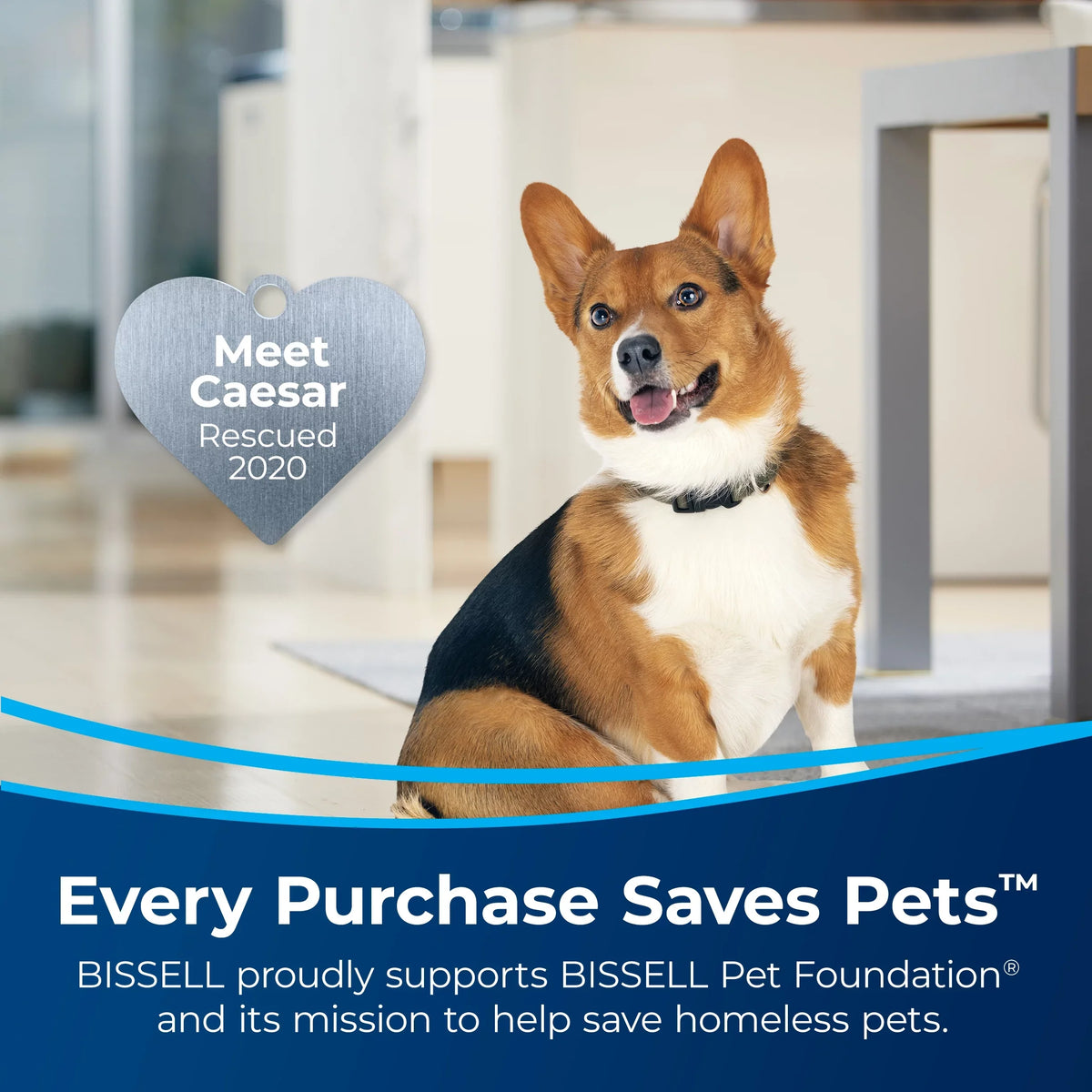 Turbo Upright Pet 3333 PowerForce BISSELL Helix Vacuum Rewind