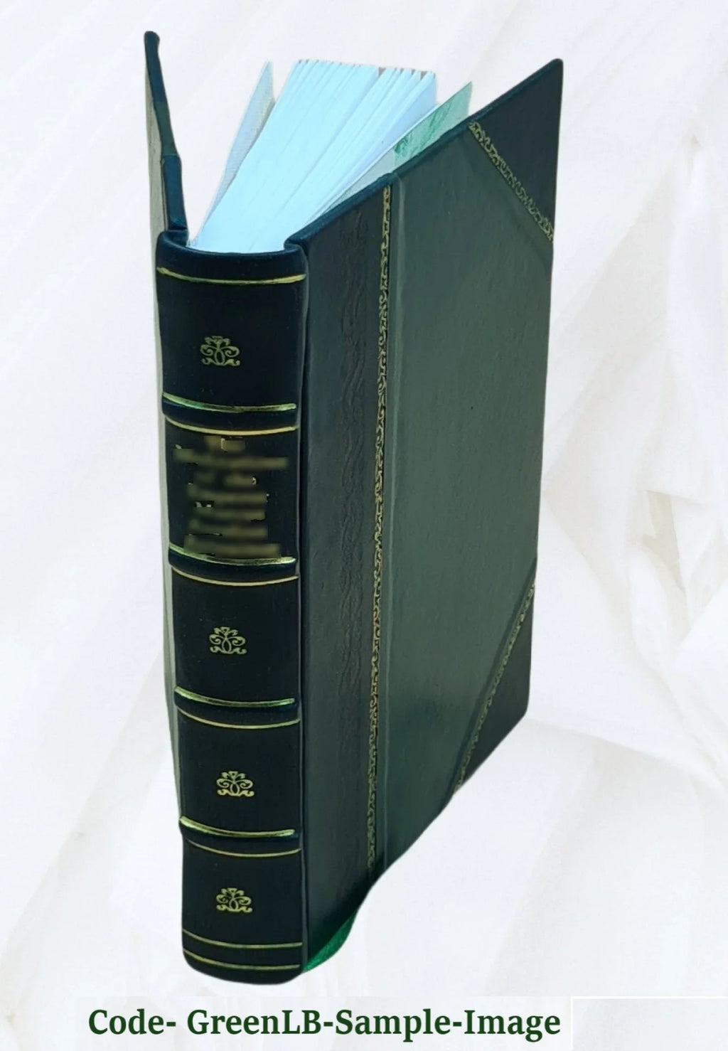Sir Bacon; The Francis bi-literal 1901 cypher [Leather of Bound]