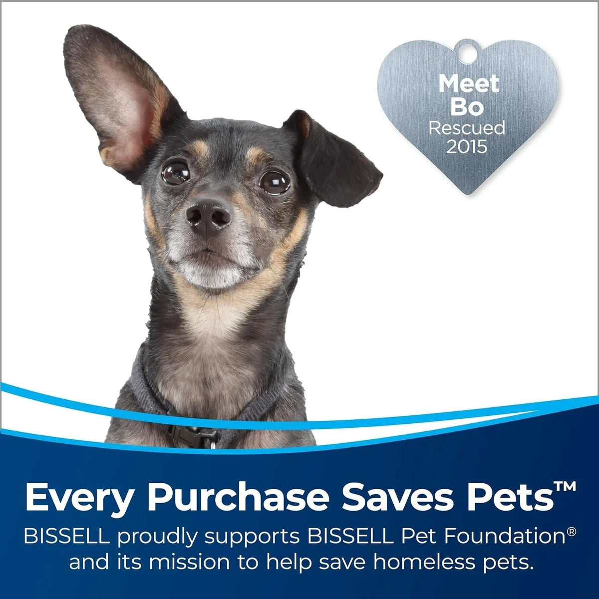 3197A Bissell Pet Cord vary),Black Wand, Cleaner, Reach Rewind with Release Swivel Steering Automatic and Quick (Color Rewind, CleanView may Vacuum Swivel