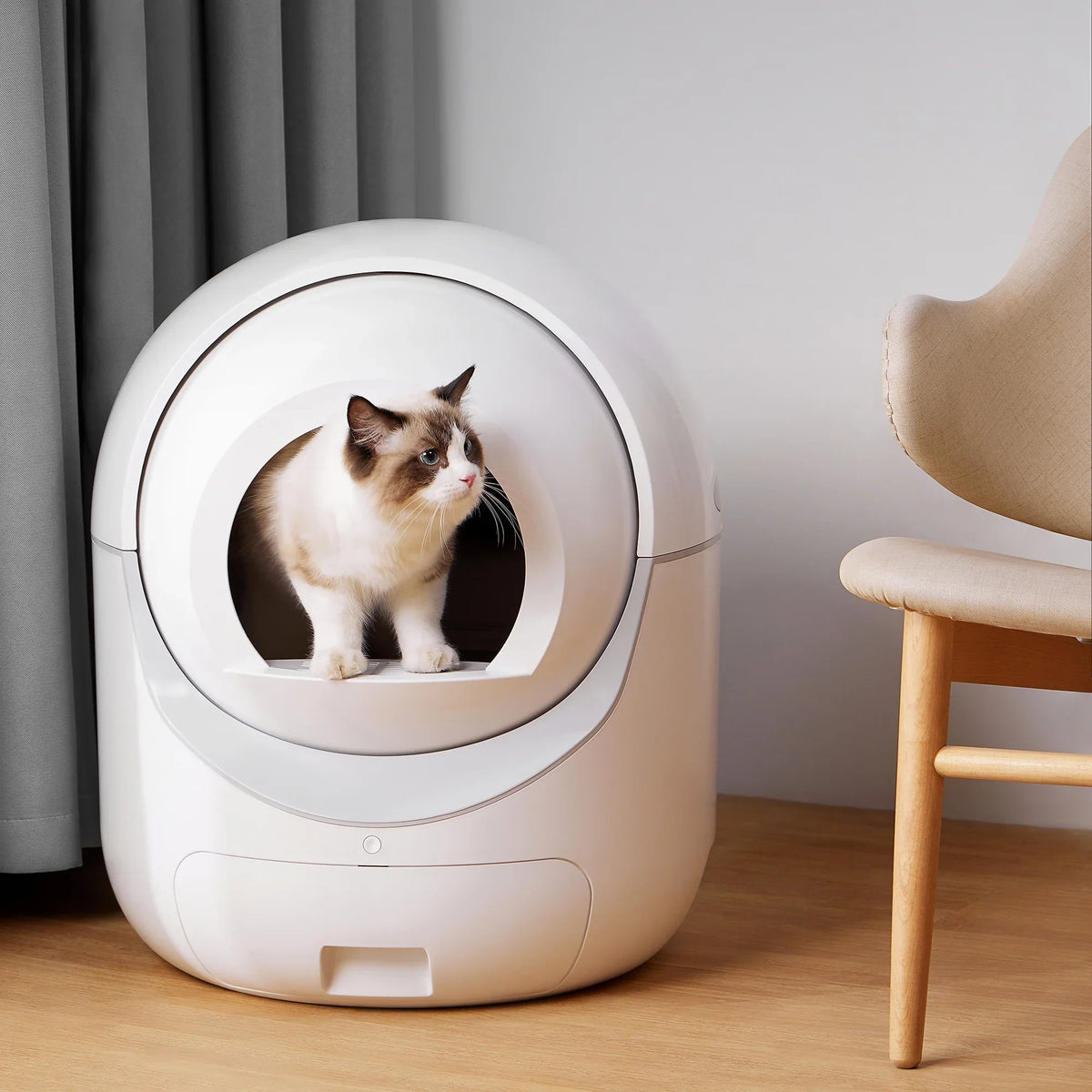 Control, Box, 2.4G Self & for Litter Box, Robot Smart App Litter Support Cat Litter Cleaning Automatic Multiple 5G Cats WiFi