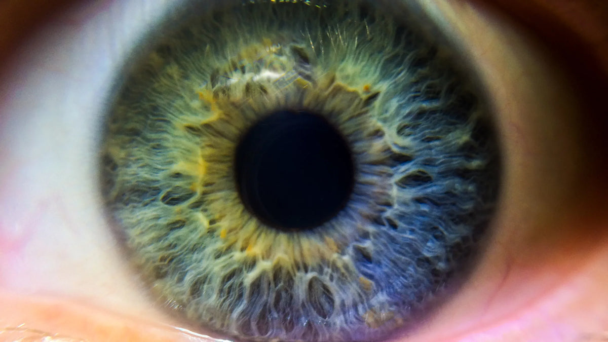ef-s element 10x (macro) usm 2 canon f/2.8 lens... close-up 60mm definition high