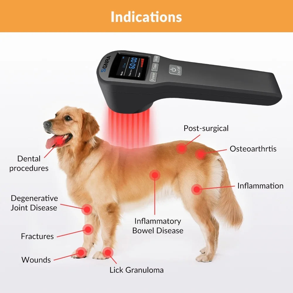 Dog 650nm Cat Horse Therapy Laser Laser Relief,Handheld Therapy 808nm,Cold Pain Device,for Low Level