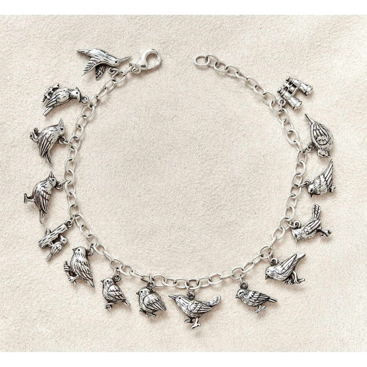American Birds Bracelet Charm North